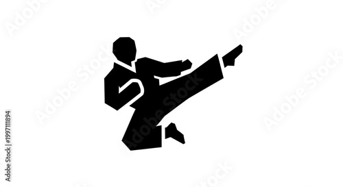 Martial arts silhouette of a person kicking.