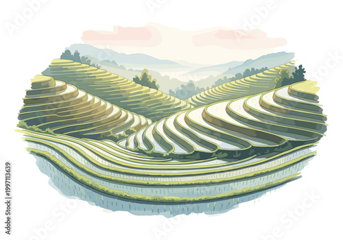 Beautifully illustrated rice terraces cascading down rolling hills under a soft sky