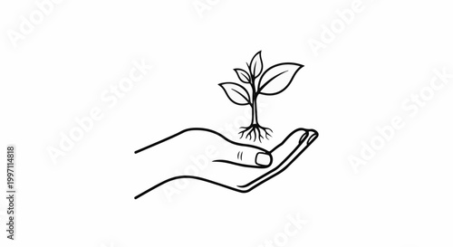 A black and white line drawing of a hand gently holding a small plant with visible roots
