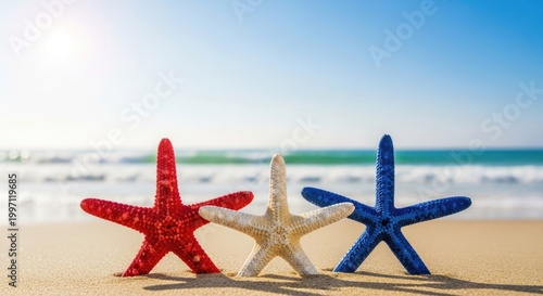 Usa independence day beach decorations patriotic starfish for july 4th celebrations
