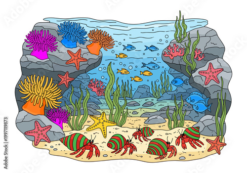 Vibrant underwater scene teeming with marine life and colorful coral reef inhabitants