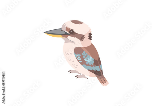 Cute cartoon kookaburra bird illustration with a large beak and blue wing feathers