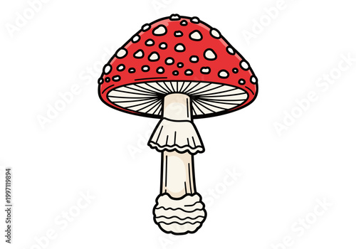 Iconic red and white spotted toadstool mushroom illustration