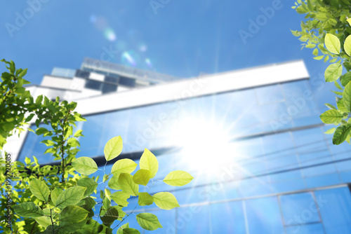 Office building and green leaves on sunny day, selective focus