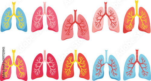 Human Lung Anatomy Vector Set with Colorful Pulmonary Organ Illustrations Showing Bronchial Tree Structure for Medical Education Healthcare Infographics and Biology Design.