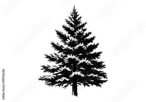 Stylized black silhouette of a coniferous evergreen tree on a white background