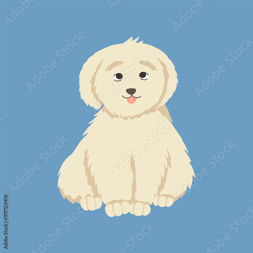 Bichon frise dog. Cute cartoon hand drawn vector illustration. Sitting puppy isolated on white background. Fluffy white coat, small breed art for pet design, sticker and print use