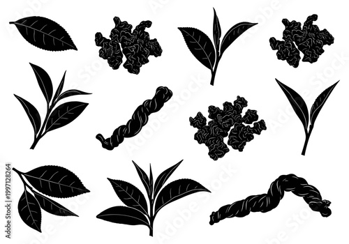 Collection of black silhouette illustrations of tea leaves and processed tea