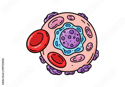 Cartoon illustration of a mast cell with red blood cells nearby
