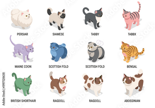 Collection of diverse cat breeds illustrated in a clean isometric style