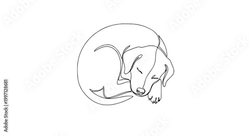 Minimalist single line drawing of a sleeping puppy curled up on white background.