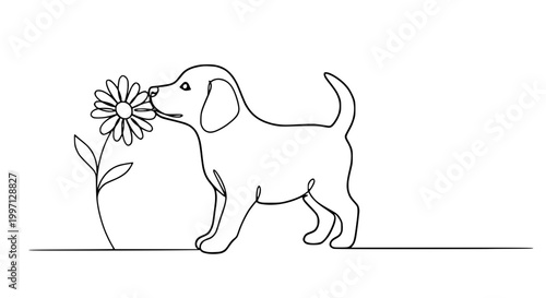 Minimalist continuous line drawing of a puppy smelling a daisy flower, simple art, white background.