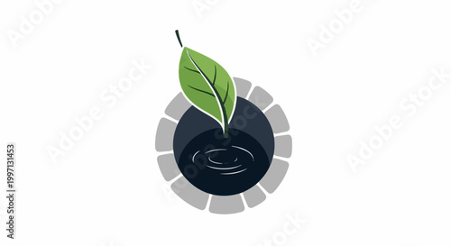 A green leaf emerges from a dark well with rippling water