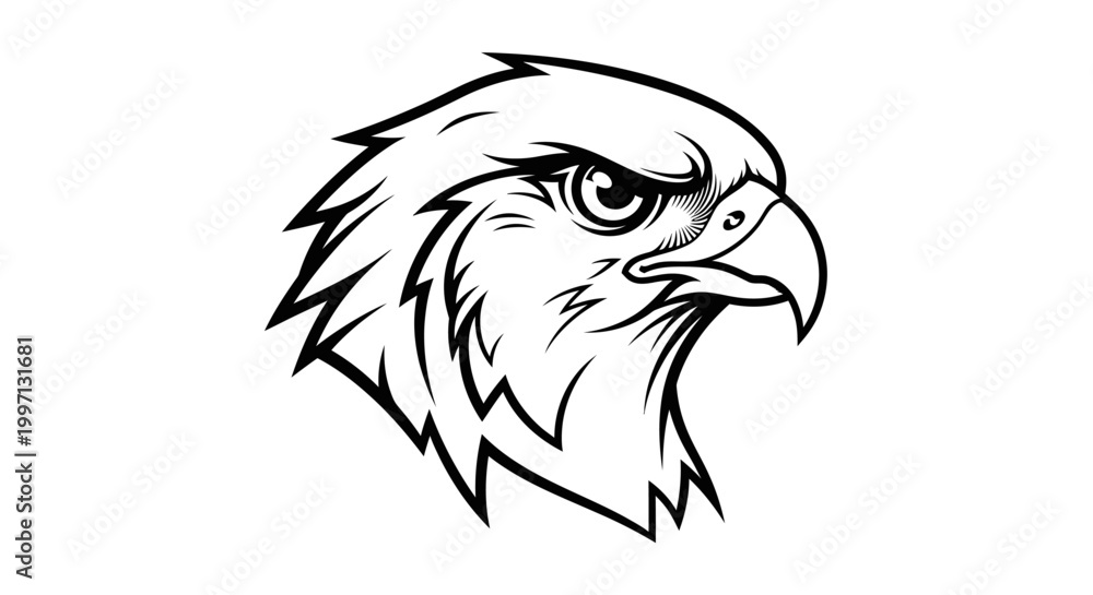 Fototapeta premium Bold black and white illustration of a bird of prey head with intense gaze