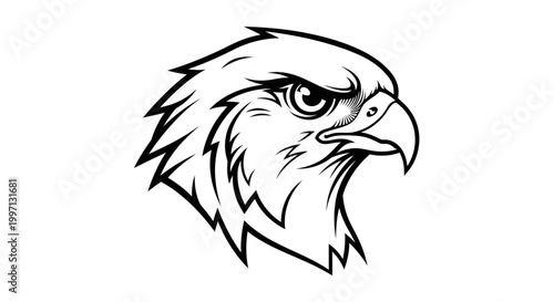 Bold black and white illustration of a bird of prey head with intense gaze