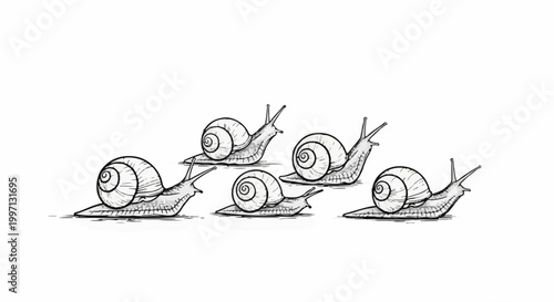 A group of five snails with shells are moving forward