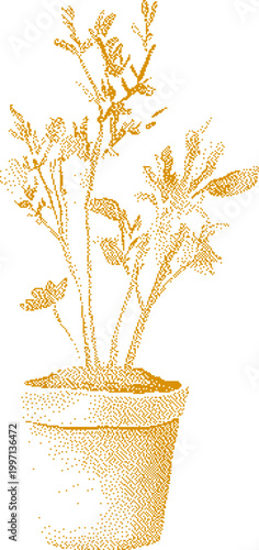 A potted soybean plant with delicate leaves rendered in a stippled gold technique on a white background