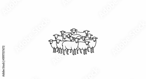 A cluster of white sheep drawn in black outline stand together