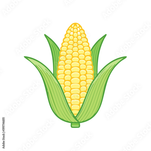 Vibrant yellow ear of corn with green husks, a fresh harvest illustration