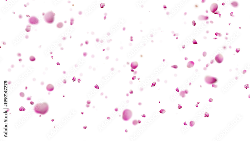 Naklejka premium Pink flower petals falling on a transparent background, perfect for romantic or spring themed projects