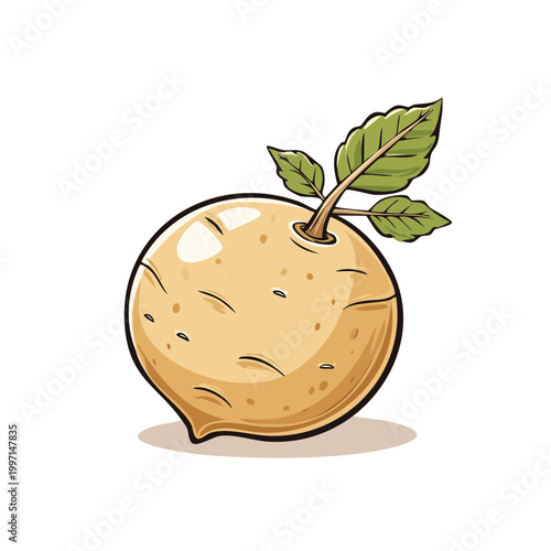 Fresh Turnip Root Vegetable with Green Leaves Illustration