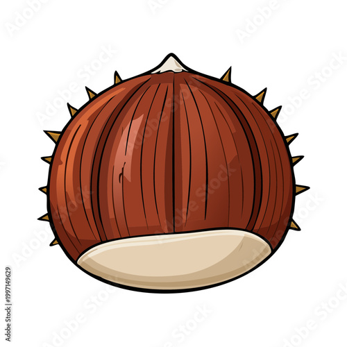 Detailed illustration of a ripe horse chestnut with spiky outer shell and smooth inner nut