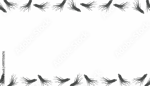 Ginseng Background. Handdrawn Root Illustration. Herbal Botanical Background. for Packaging Textile Design