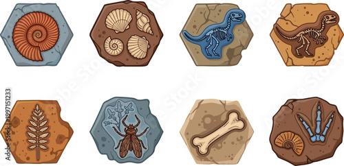 Fossil Collection Featuring Dinosaur Bones, Shells, Insects, and Plant Imprints