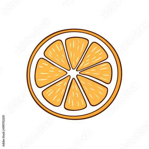 Hand drawn illustration of a vibrant orange slice with segments and white pith detail