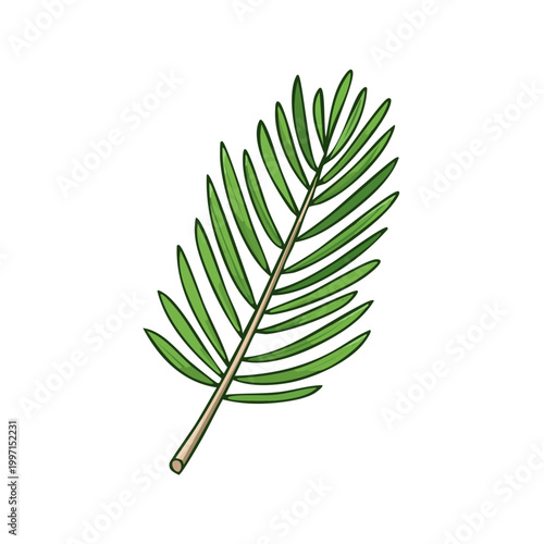 Isolated green pine needle sprig with detailed veins and a woody stem