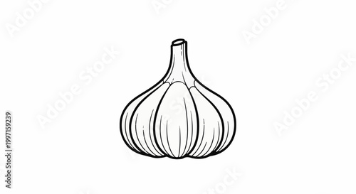 A simple black and white line drawing of a garlic bulb