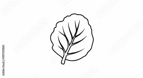 A simple black and white line drawing of a single leaf