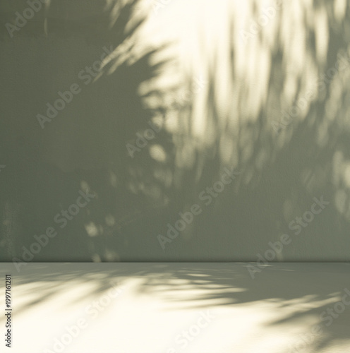 Begie background wall floor with shadow flower gradient peach color backdrop, minimal podium stage loft for presentation product, empty mockup stand interior