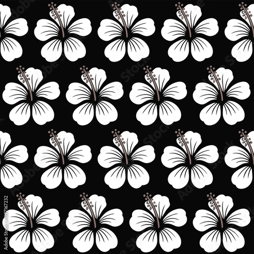 Flower hibiscus illustration with black background and white petals