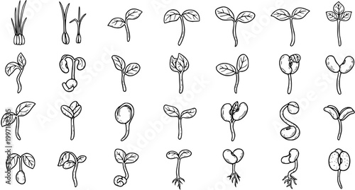 Canvas Print Collection of hand-drawn plant sprouts and germinating seedlings icons, showing different stages of growth in black and white line art, for nature, gardening, or educational themes