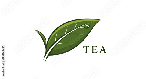 Green tea leaf logo illustration.