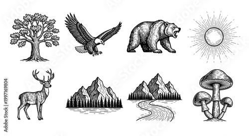 Vintage engraved woodland wildlife and forest elements illustration set