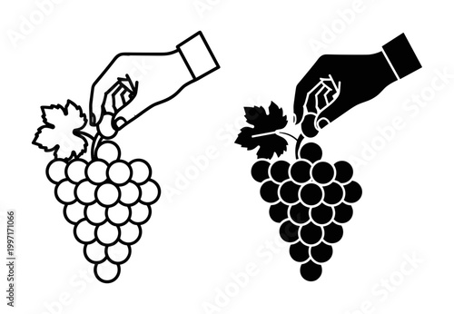 Hand holding grapes vector icon set, outline and solid silhouette styles, isolated on white background