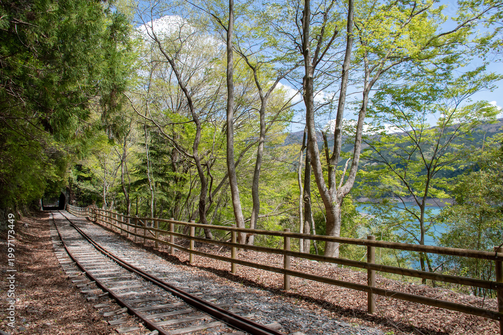 Fototapeta premium 井川湖畔遊歩道 廃線小路の新緑と線路のノスタルジックな風景( Nostalgic abandoned railway path with fresh green leaves along Lake Ikawa, Shizuoka Japan)