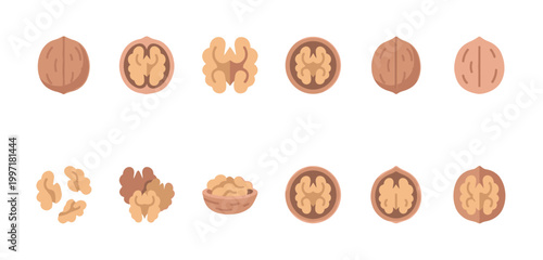 A collection of flat design walnut illustrations includes whole nuts, halves, and kernels in a bowl against a white background, perfect for food and health concepts.