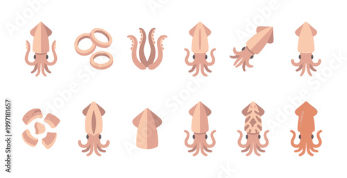 A collection of cute flat vector squid icons in various poses and styles, perfect for creative seafood or ocean-themed designs.