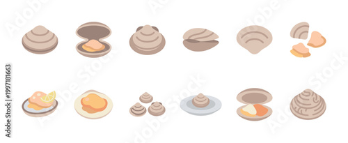 A collection of flat design illustrations featuring clams and oysters, showcasing various opened and closed shells with seafood inside, on a white background.
