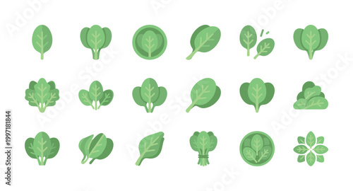 Collection of flat style spinach leaf icons in various arrangements and compositions against a white background, representing fresh greens and healthy eating.