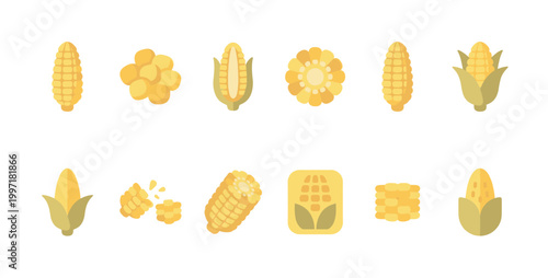 A collection of stylized flat design icons representing various forms of corn, including whole cobs, kernels, and sliced sections on a white background.