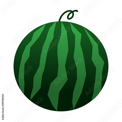 Whole green striped vector watermelon isolated on white background
