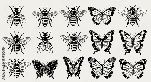 Collection of bee and butterfly illustrations in vintage style.