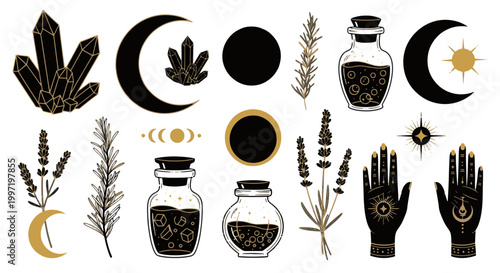 Esoteric Celestial and Botanical Elements Collection Black Gold