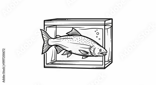 A single fish is contained within a clear, rectangular aquarium