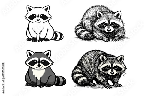 Collection of four raccoon illustrations in diverse graphic styles including cute cartoon mascot, detailed hand-drawn sketch, vintage woodcut engraving, and simple line art for character design.