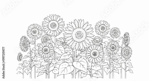 A whimsical sketch of a dense field of sunflowers under a bright sky